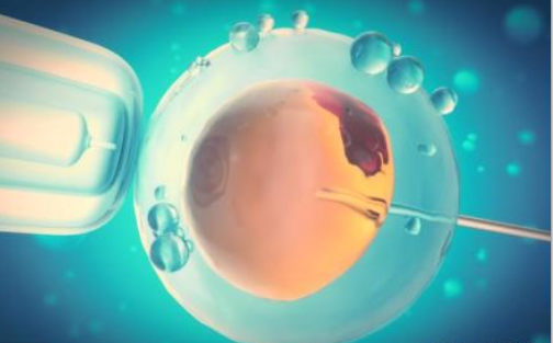 泰国第三代供卵试管机构：泰国和广州供卵费用多少？心悦教你算！