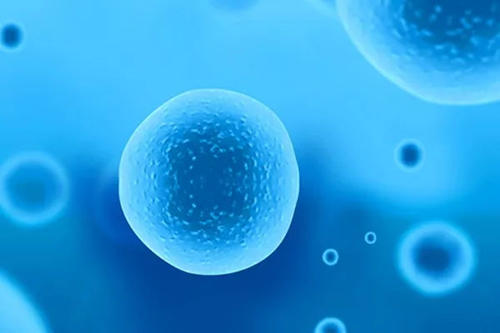 备孕 | 做广州第三代试管， 卵泡少、长得慢怎么调理？