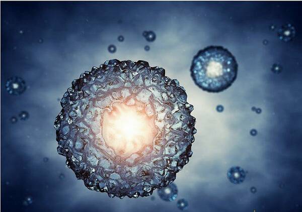 第三代试管婴儿：泰国可以做供卵试管吗？哪有泰国试管婴儿供卵机构？