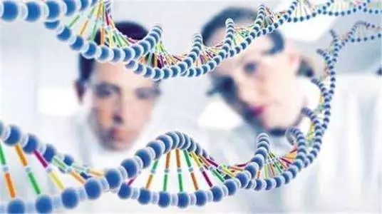 广州第三代试管机构：供卵一个要多少钱？供卵试管一次多少钱？