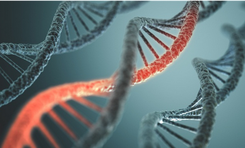 广州供卵试管机构:捐卵试管十次还没成功?怎么提高第三代试管成功率? 广州供卵试管机构:捐卵试管十次还没成功?怎么提高第三代试管成功率?