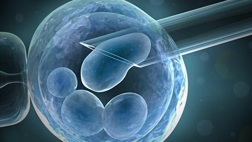 重庆供卵试管婴儿医院：重庆哪里可以供卵做试管婴儿？