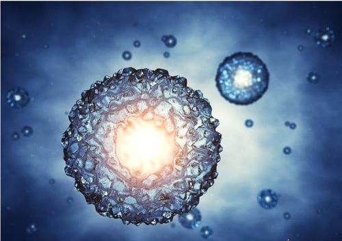 广州供卵中心：泰国供卵试管机构怎么选，公立医院和民间机构要注意哪些？