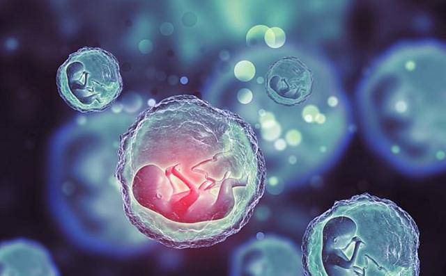 2020广州供卵试管中心：女人做试管的最佳年龄是多少，超过会怎么样？